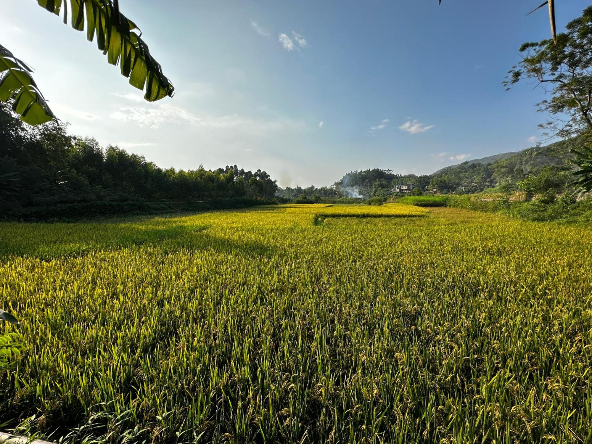 Vulinh Family -Homestay Yen Binh Eksteriør billede