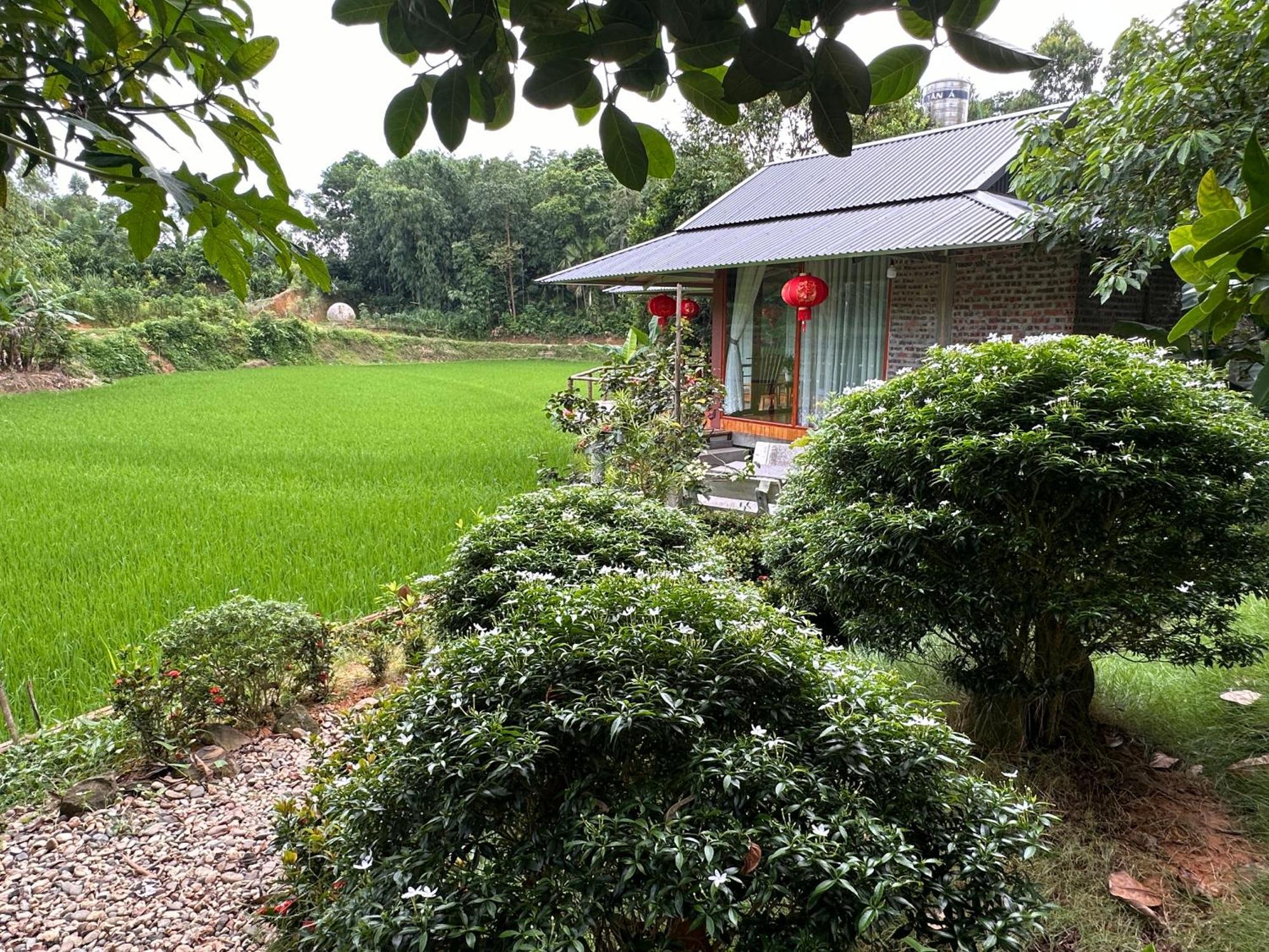 Vulinh Family -Homestay Yen Binh Eksteriør billede