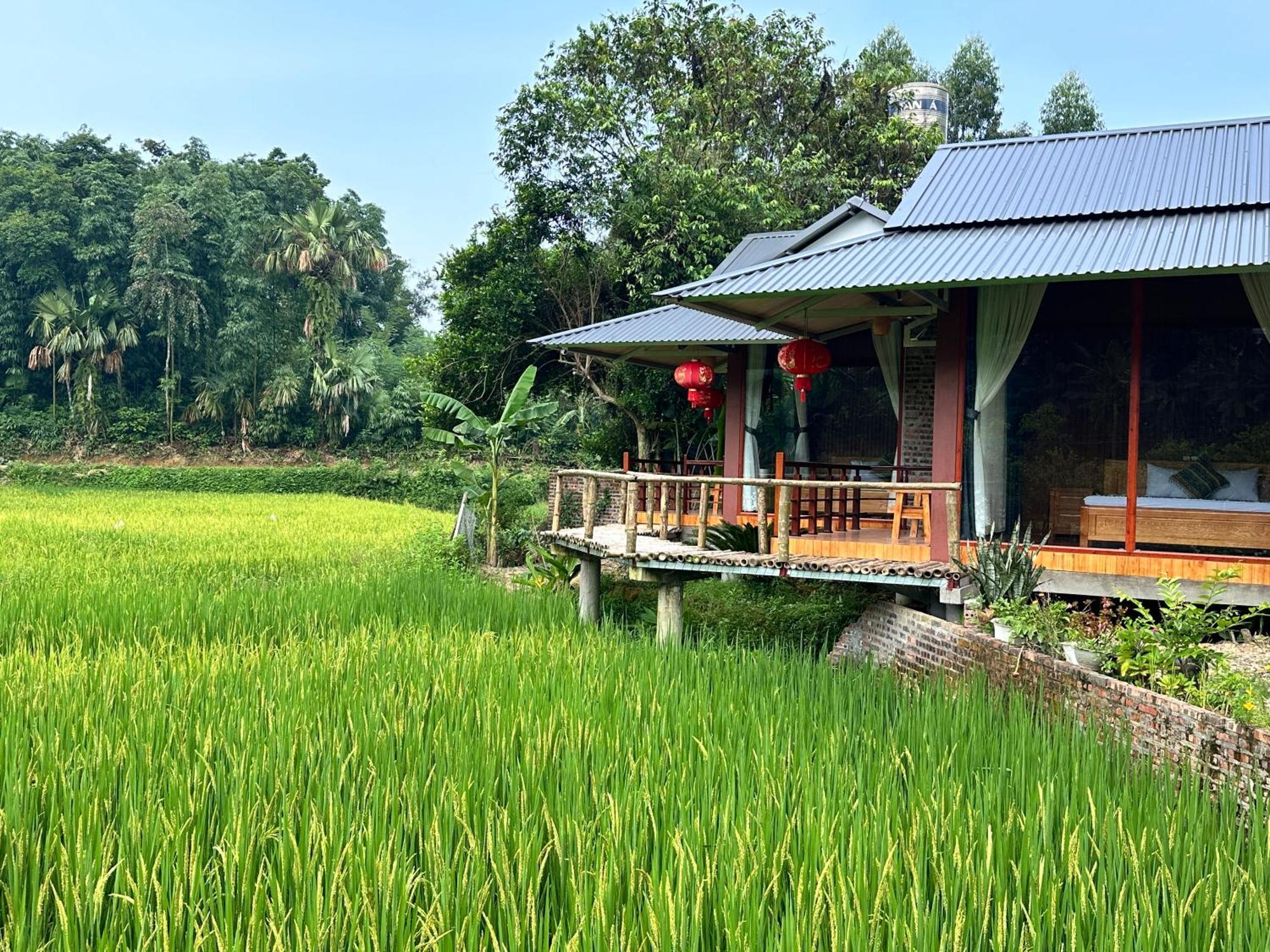 Vulinh Family -Homestay Yen Binh Eksteriør billede
